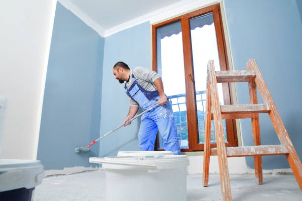 Best Black Mold Removal  in Key Largo, FL