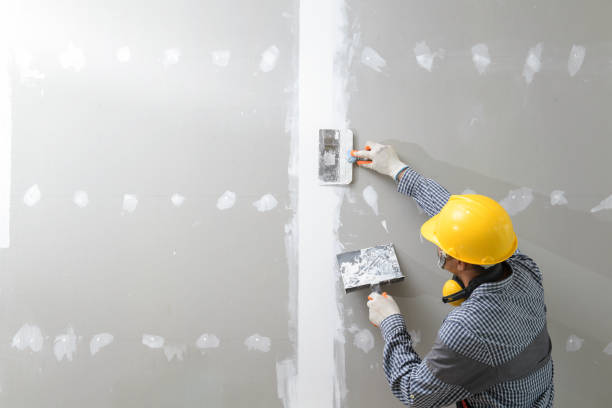 Best Commercial Mold Inspection  in Key Largo, FL