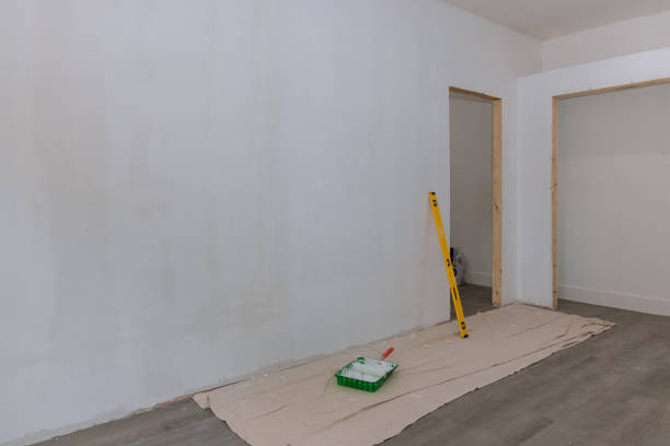 Asbestos and Lead Testing During Mold Inspection in Key Largo, FL