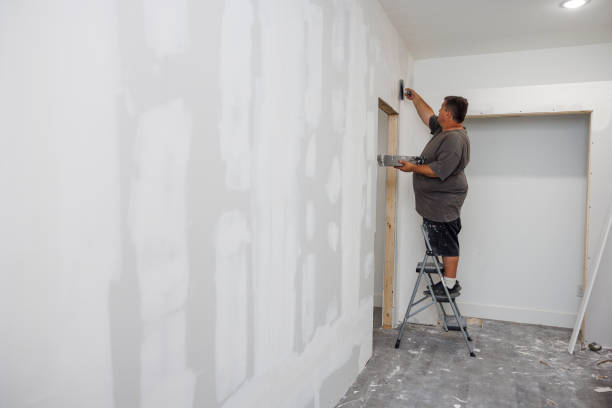 Best Emergency Mold Remediation  in Key Largo, FL