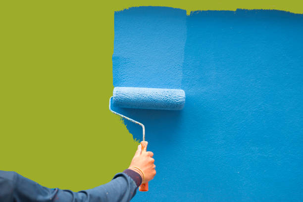 Reliable Key Largo, FL Mold Removal Solutions