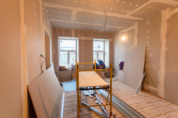 Best Attic Mold Removal  in Key Largo, FL